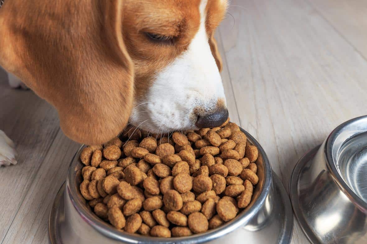 Pet Food Reviews